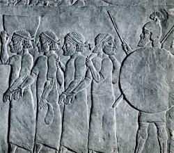ccc